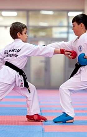 08-karate