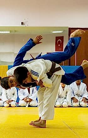 11-judo